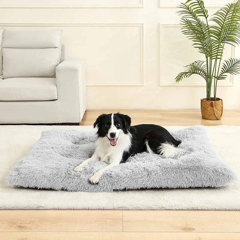Soft Dog Beds House Soft Long Plush Best Pet Dog