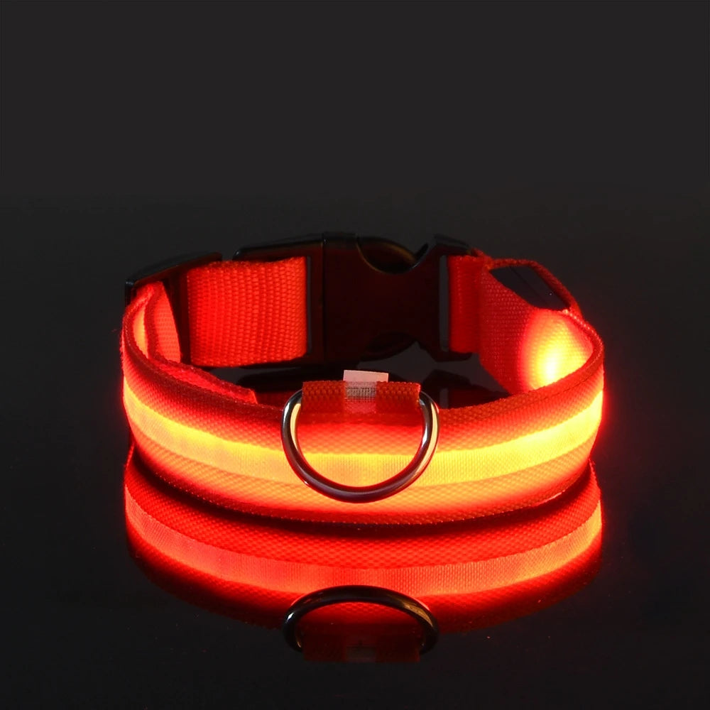 Nylon LED Night Safety Flashing Glow In The Dark Dog