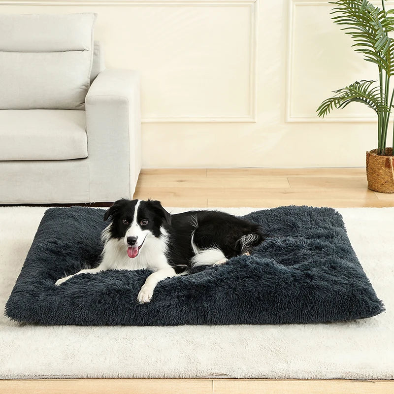 Soft Dog Beds House Soft Long Plush Best Pet Dog