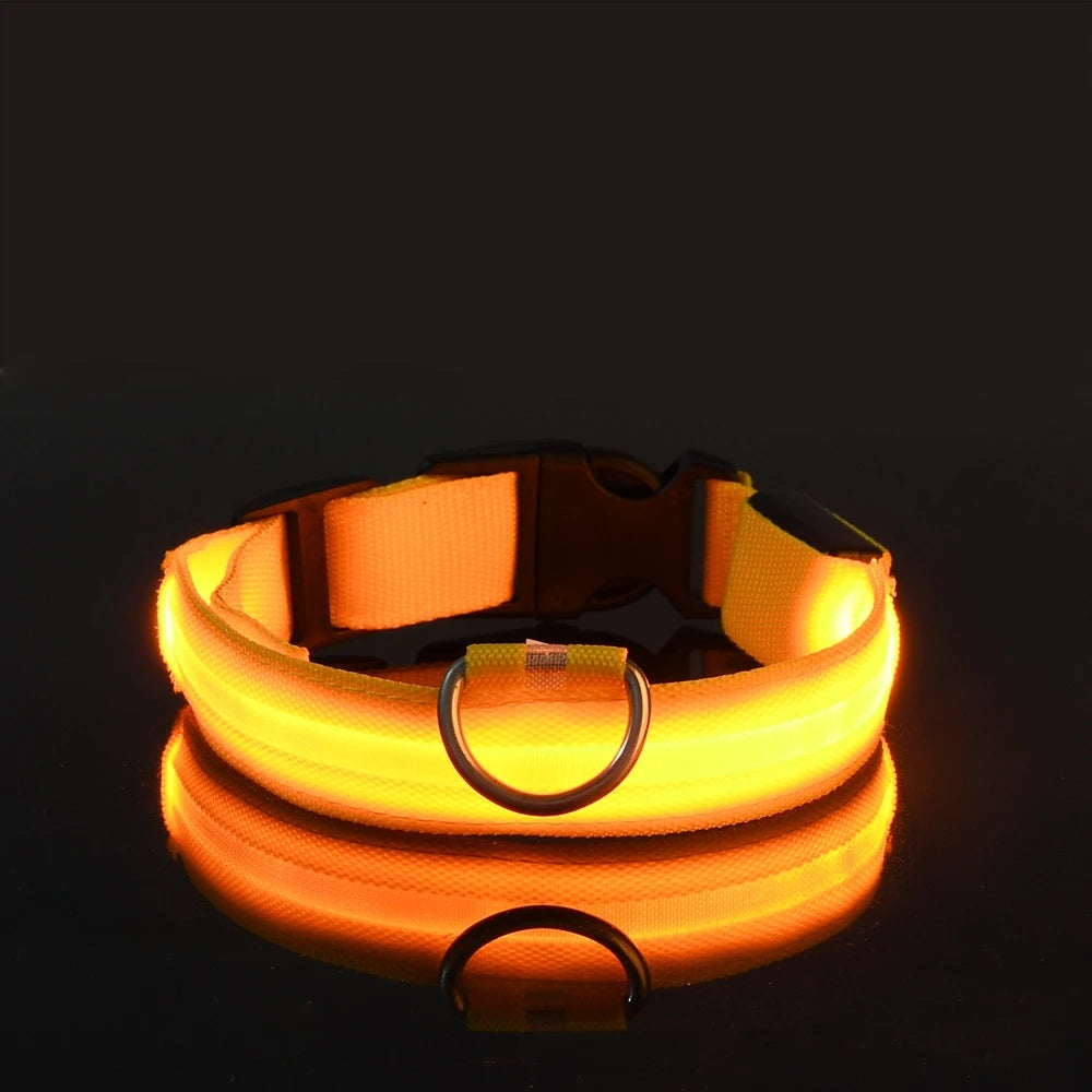 Nylon LED Night Safety Flashing Glow In The Dark Dog