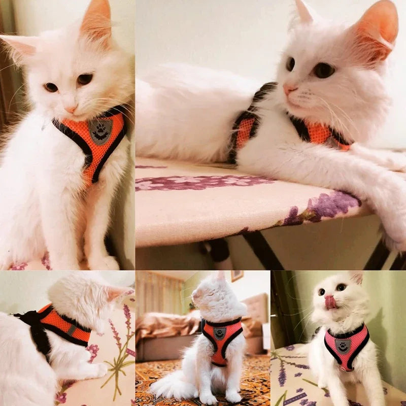 Summer Cat Dog Harness Lead Leash Adjustable Vest
