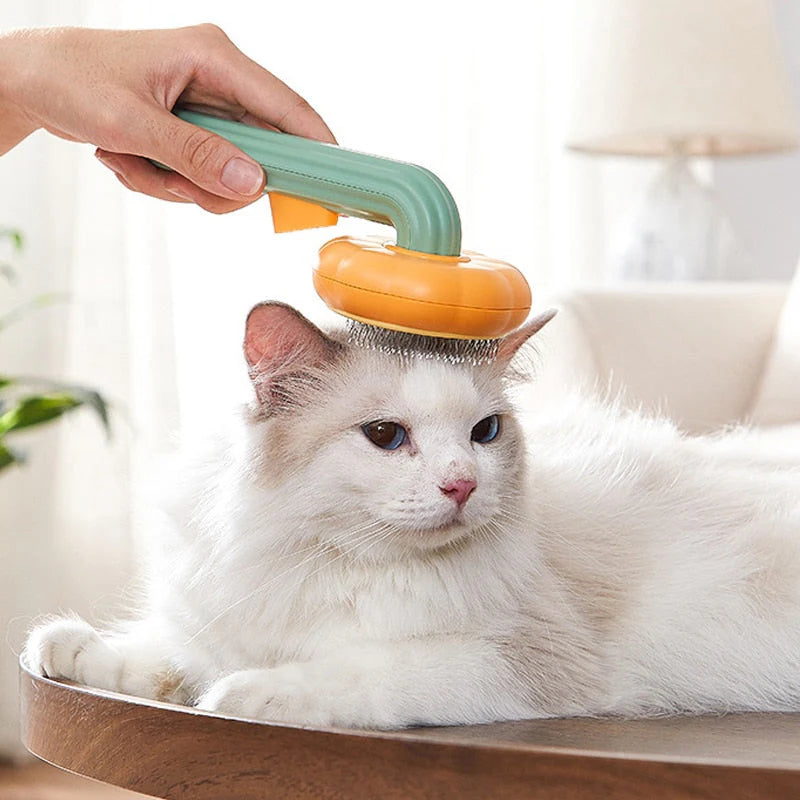 Cat Brush Pet Grooming Brush for Cats Remove Hairs